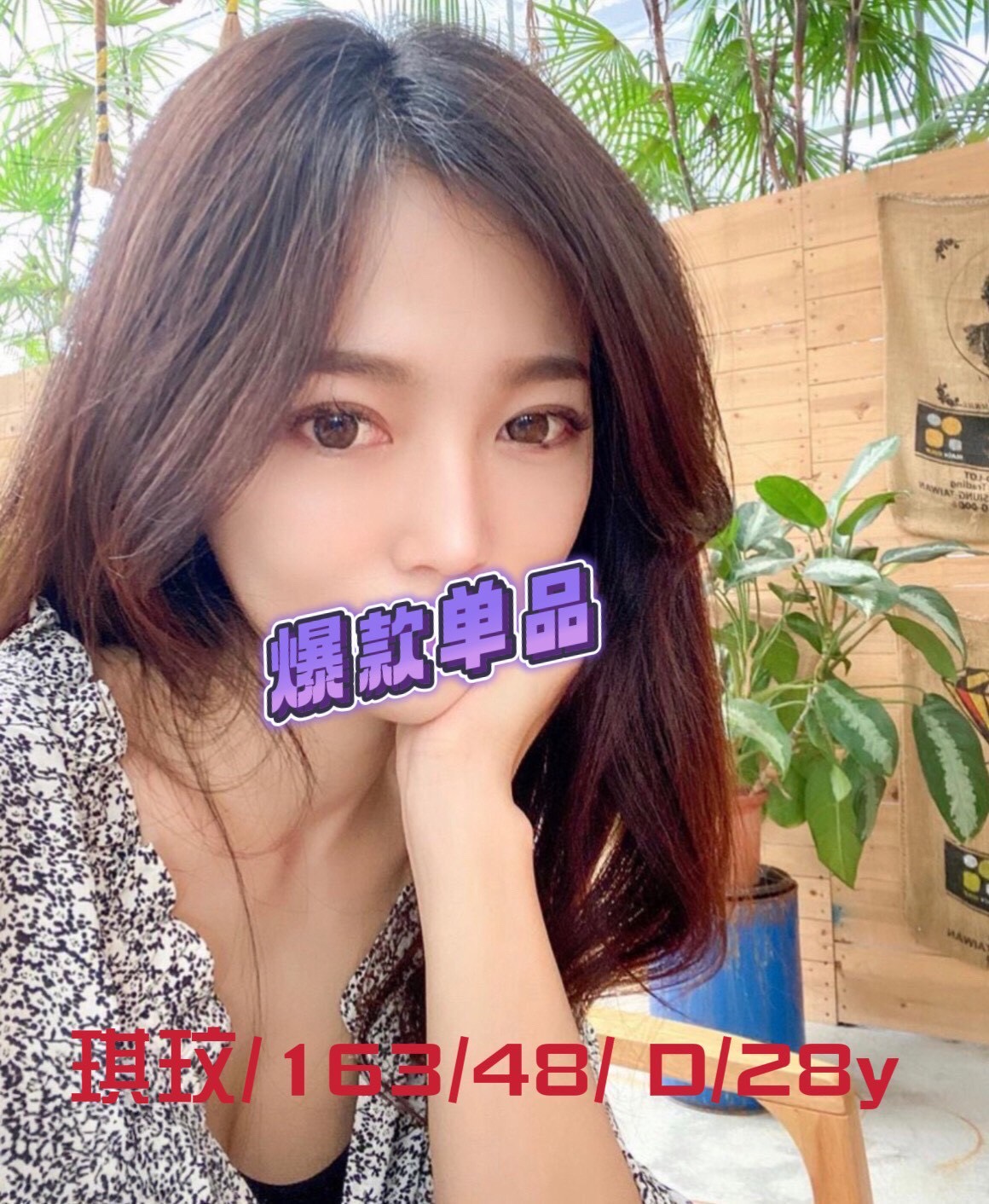 大溪區定點茶/外送茶 小白兔 159/46/32/34E